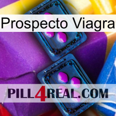 Prospecto Viagra 03